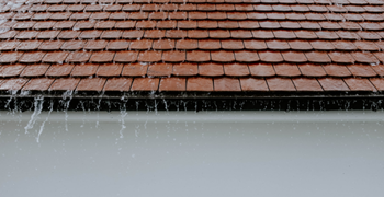 Does Home Insurance Cover Roof Leaks?