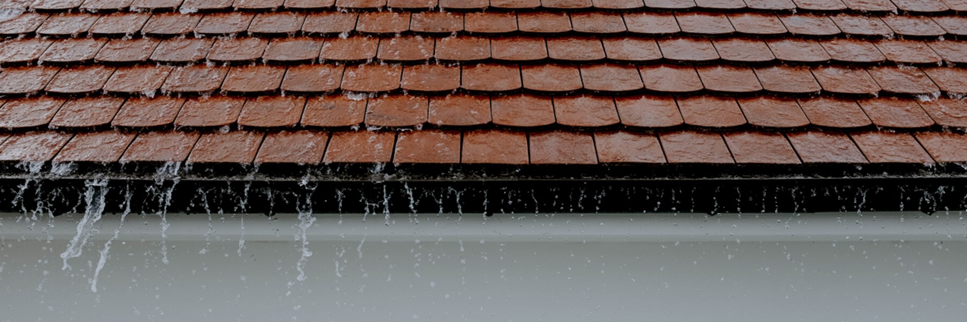 Roof Leak Insurance