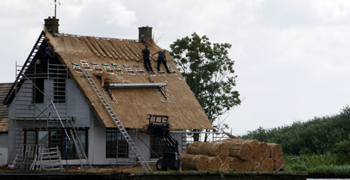 5 Practical Tips To Help You Find A Master Thatcher