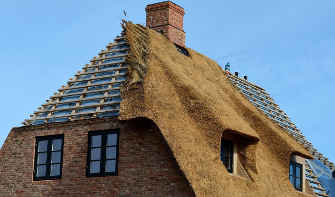 Thatch roofing materials: A guide