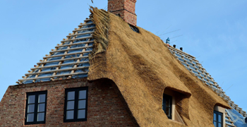 Thatch roofing materials: A guide