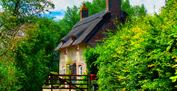 Is your thatched property underinsured?