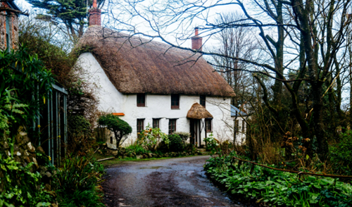 How much to thatch a roof